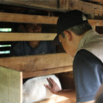 Kegiatan Suntikan Vaksin PMK Untuk Hewan Ternak Kambing Desa Sirnabaya