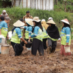 Sirnabaya Pelopor Tani Organik