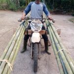 Ketua RT Kubangsari Gigih Mencari Bambu Demi Semarak HUT RI ke-81